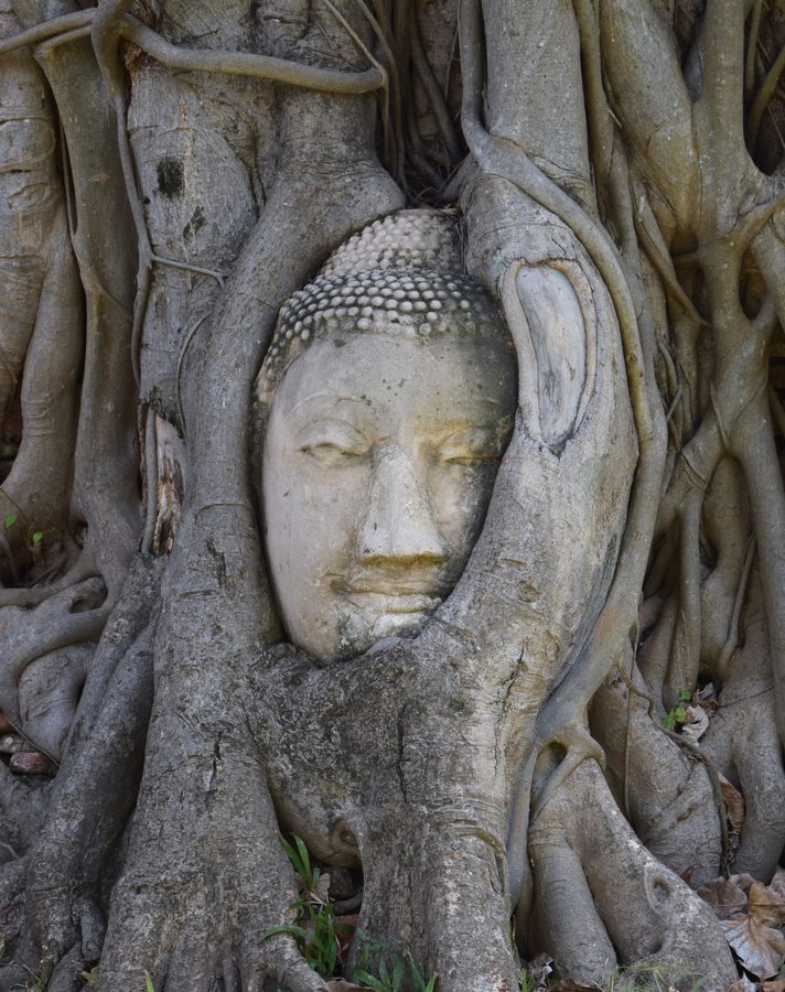 Ruines d'Ayutthaya