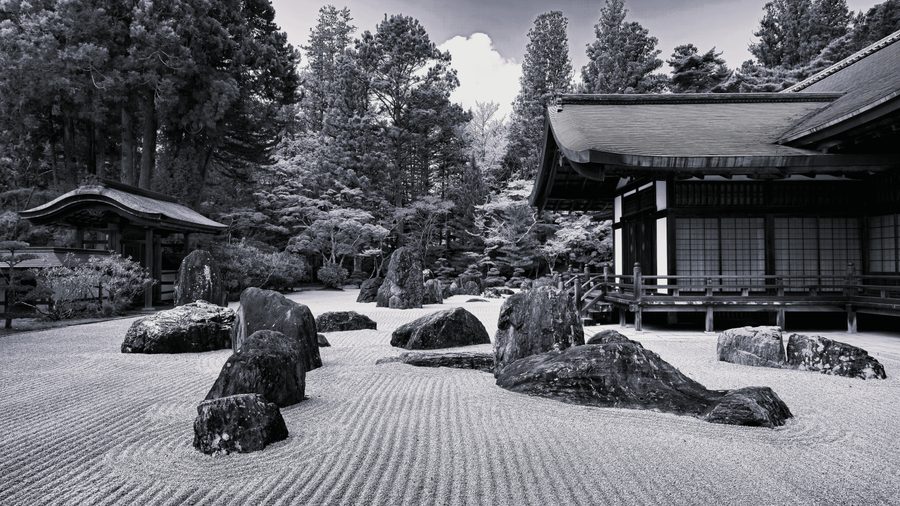 Le jardin du silence